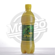 Isotonic 0.5L pet /12ks/