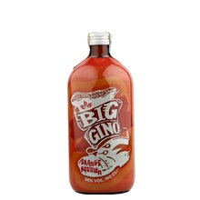 Big Gino Orange Passion 1L 38%