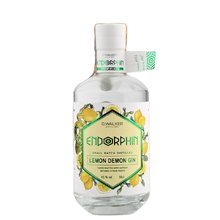 Endorphin Lemon Demon 0,5L 43%