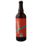 Twinberg Bicycle Dream 8 Summer ALE 0,75L sklo