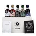 Little Urban 5 Gin set 5x0,2L box